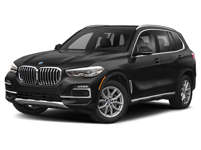 Black 2019 BMW X5 xDrive40i at Flemington BMW in Flemington NJ