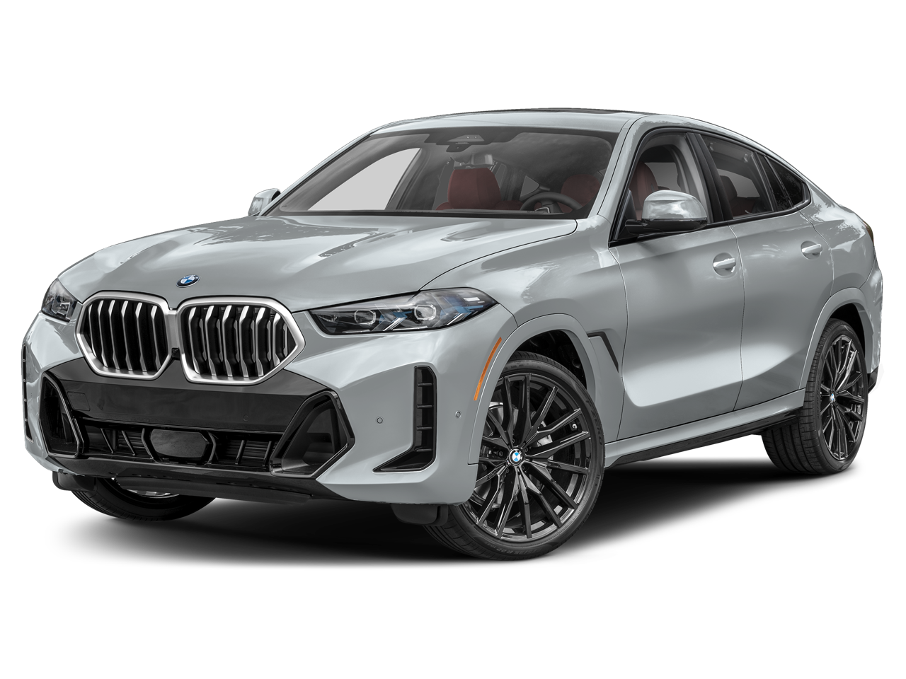 2025 BMW X6
