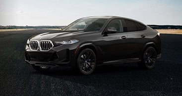 The BMW X6