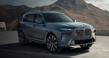 The BMW X7