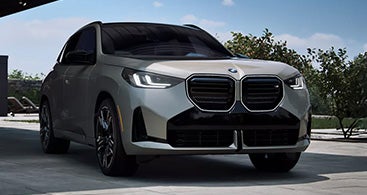 The BMW X3