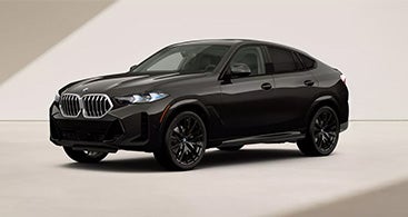 The BMW X6
