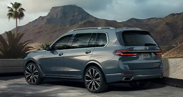 The BMW X7